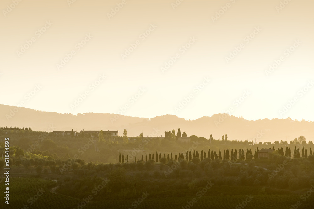 Tuscany Landscape at sunset