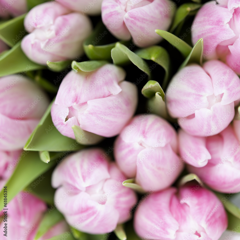 Obraz premium Close up of bouquet of pink tulips