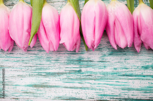 Fototapeta Naklejka Na Ścianę i Meble -  Tulip.