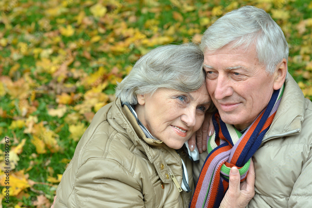 Mature couple walking in the park Mature couple walking in the park