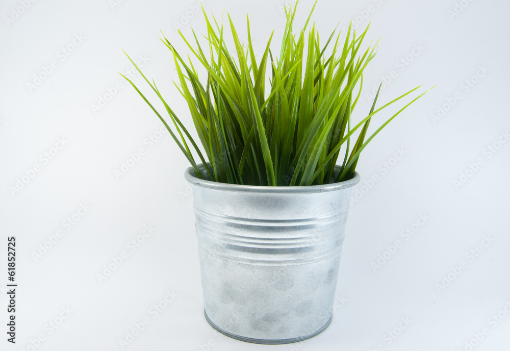 Grass in Steel Pot Grass in Steel Pot