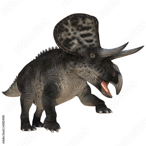 Dinosaur Zuniceratops © photosvac