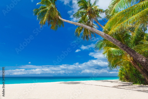 tropical beach with palm trees, summer vacation