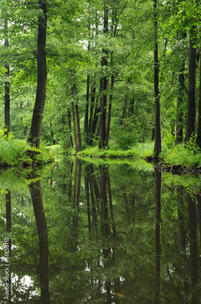 Im Spreewald