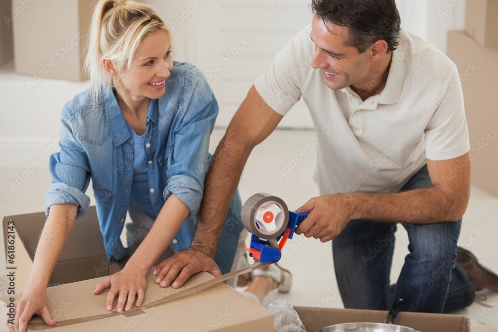 Portrait of a smiling couple packing boxes