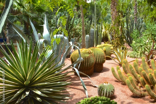 jardin majorelle