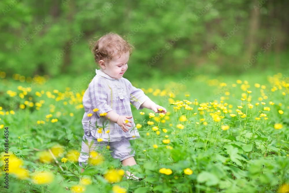 Sweet baby girl playing with yellow flowers Sweet baby girl playing with yellow flowers
