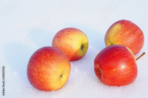 Apples in the snow