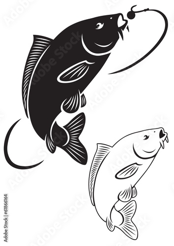carp