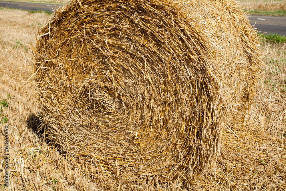 straw bale straw bale