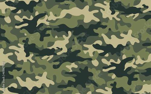 Camouflage photo