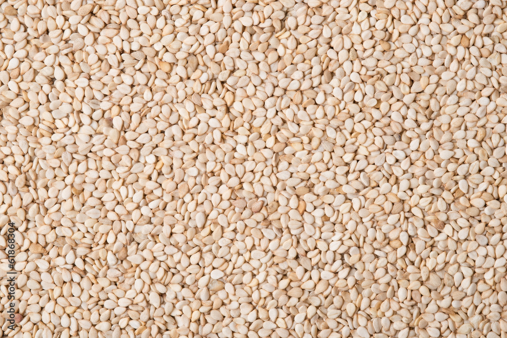 Sesam, Sesame Sesam, Sesame