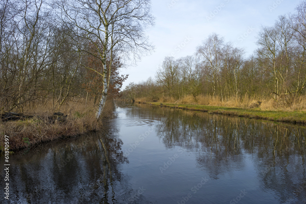 Canal through wetland in winter Canal through wetland in winter