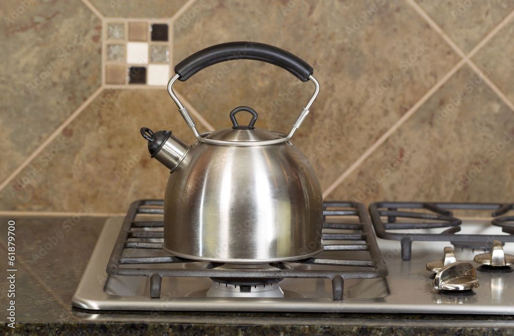 Tea Pot on Stove Top
