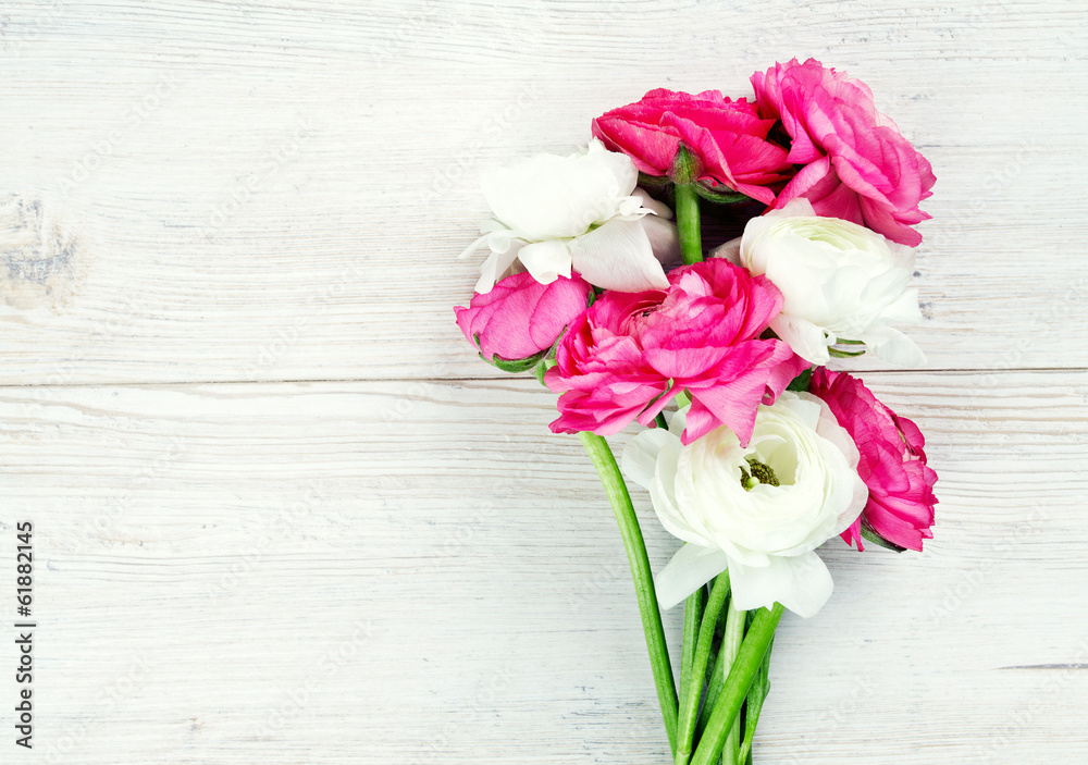 pink and white ranunculus flowers on woode surface pink and white ranunculus flowers on woode surface
