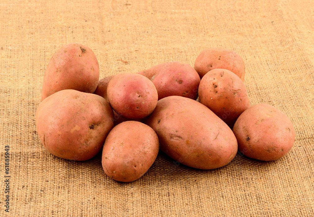 raw potatoes on burlap sack isolated raw potatoes on burlap sack isolated