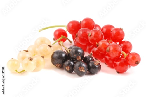 Johannisbeeren