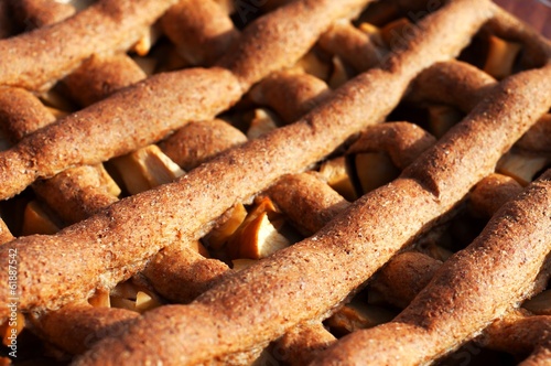 Apple Pie Closeup photo