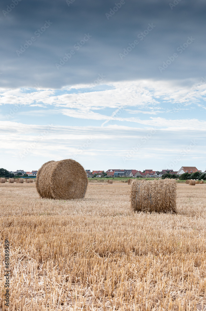 Straw bales in a field