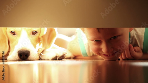 Laughing little boy with best friend beagle dog under the bed photo