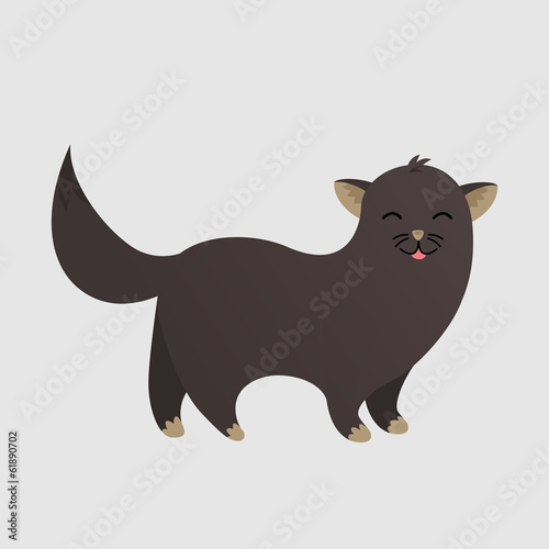 cat