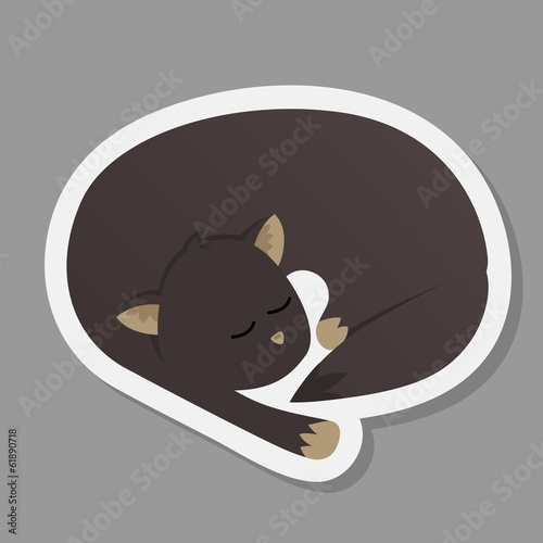 Sleepy cat