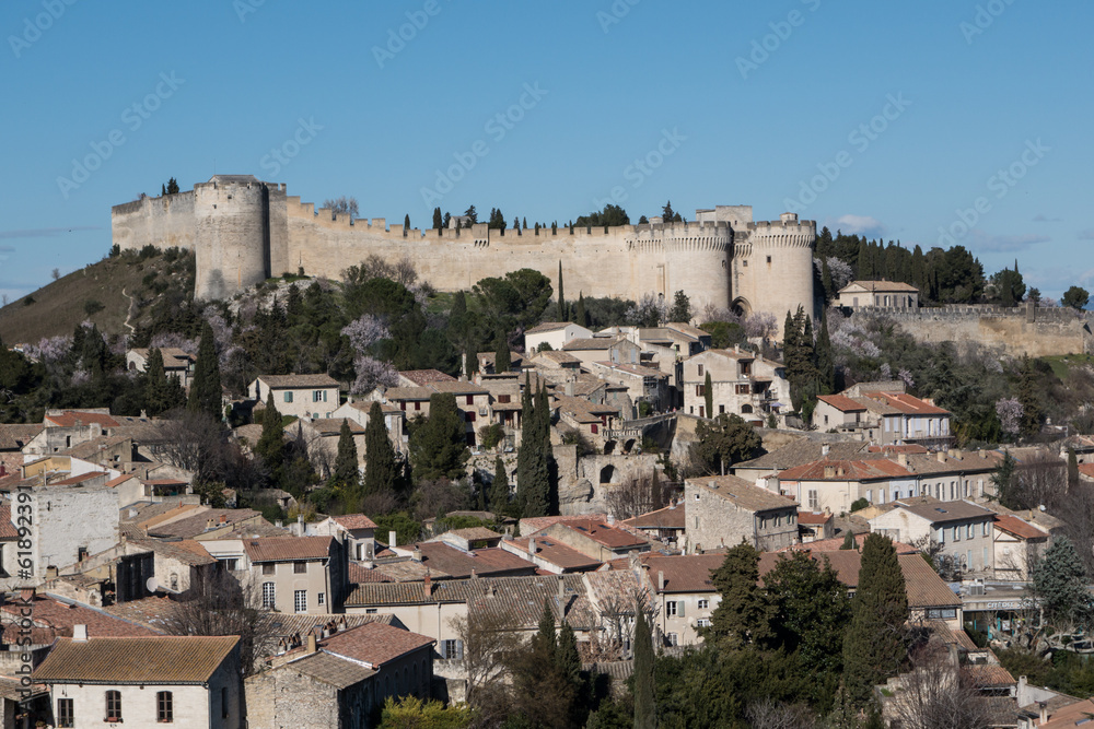 Fort saint André