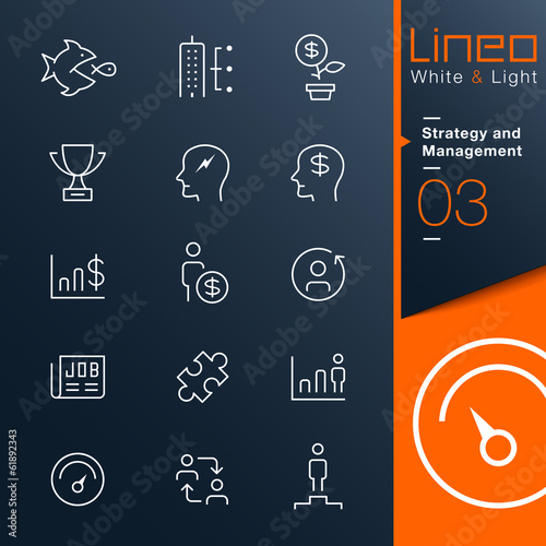 Lineo White & Light - Strategy and Management outline icons