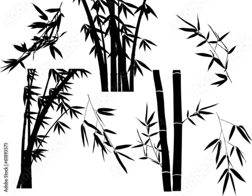 Fototapeta Naklejka Na Ścianę i Meble -  black bamboo branches collection set