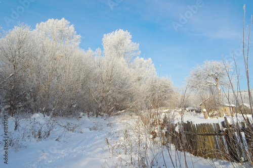 Beautiful winter rural landscape © Devyatkin