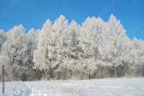 Beautiful winter landscape