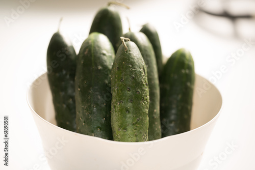 Fotografie Cetrioli_in_Zuppiera