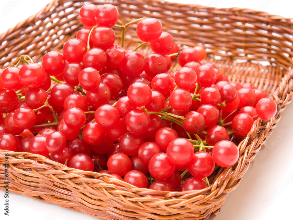 Fresh cranberries in basket isolated on white background Fresh cranberries in basket isolated on white background