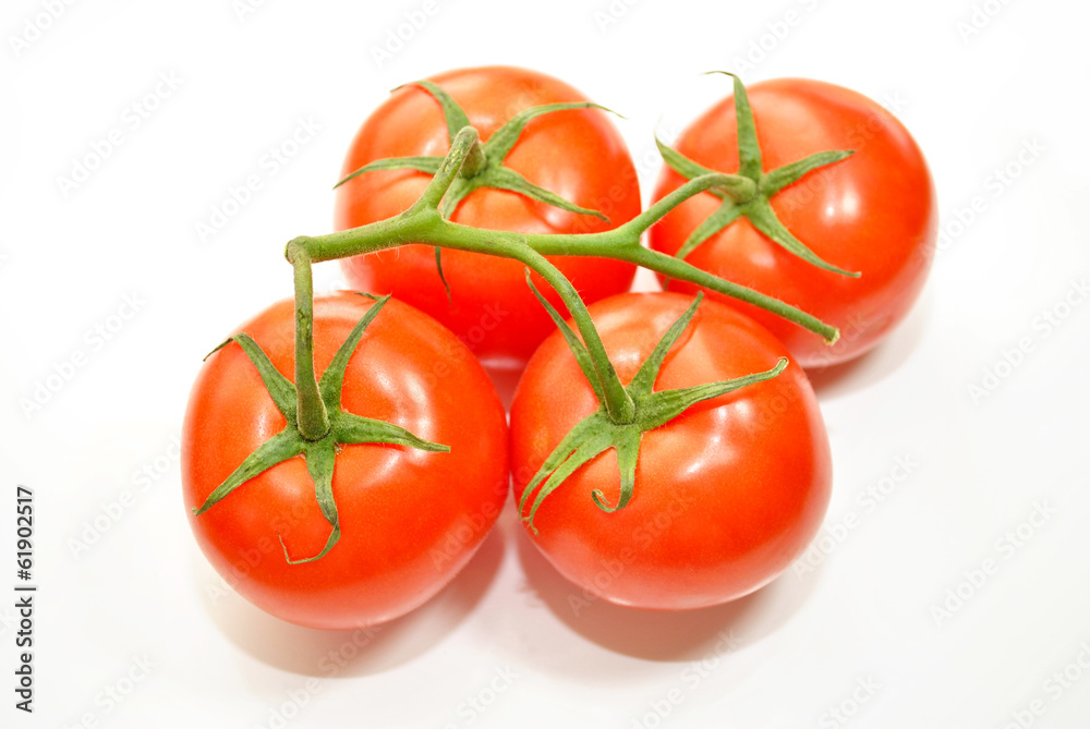 Four Red Tomatoes on the Vine