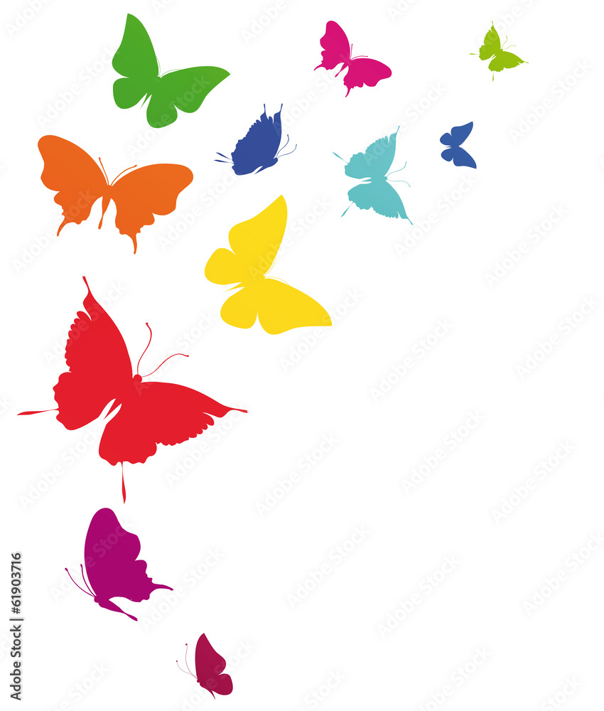 Fototapeta premium butterfly629