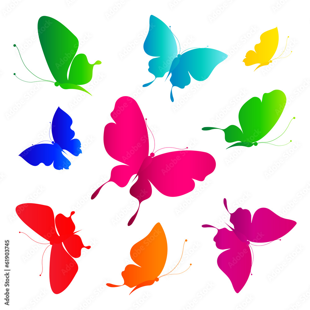 butterflies design butterflies design