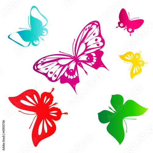 butterflies design