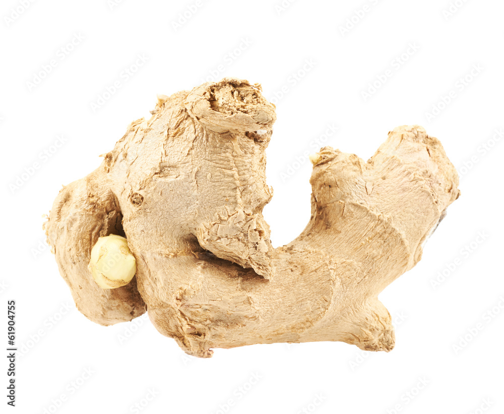 Ginger root isolated Ginger root isolated