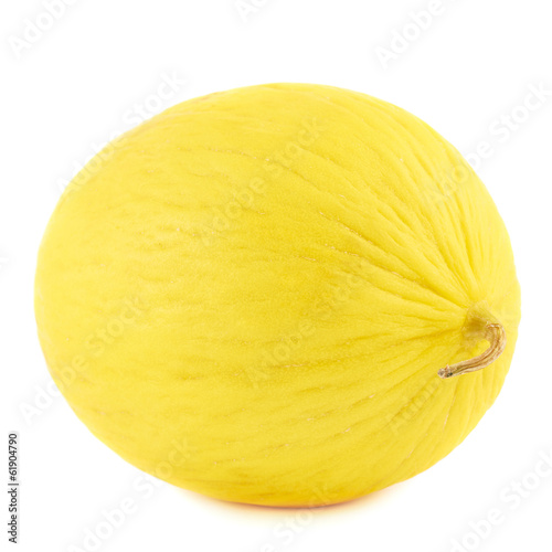 Yellow melon isolated