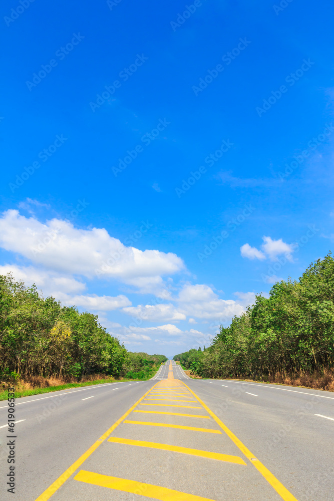 Fototapeta premium country side road