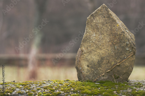 Single stone on the wall with moss