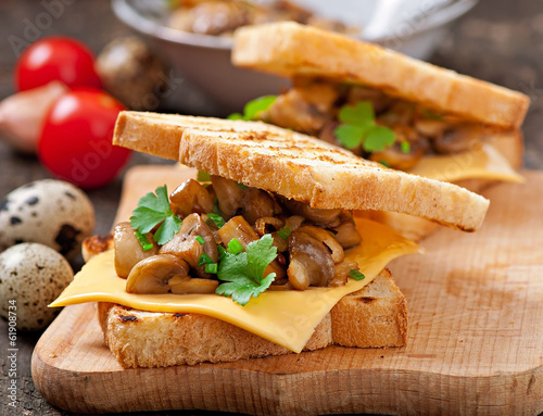 Toast sandwich with mushroom, cheese and parsley,selective focus