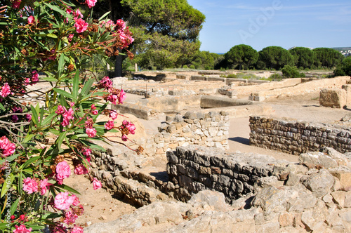 Ruins of Empuries, ancient greek and roman city, Catalonia photo