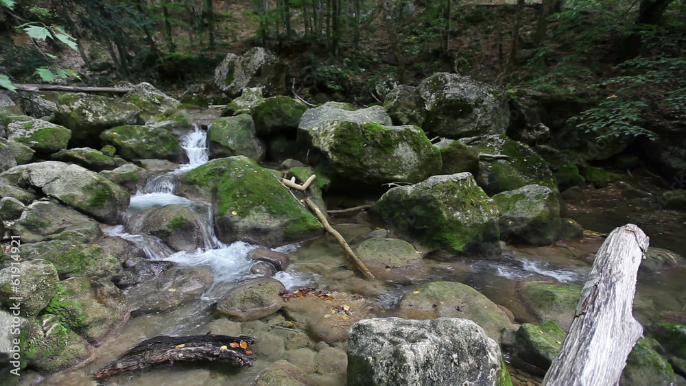 Water flows between stones in wild nature, small mountain river Water flows between stones in wild nature, small mountain river