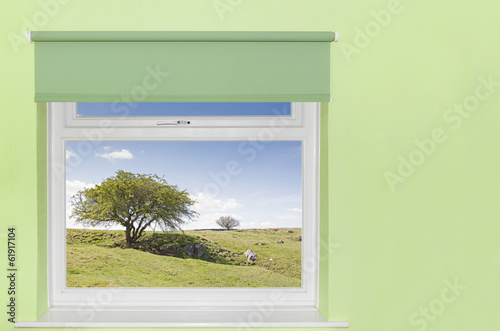 View of tree and rocky grass covered hills from a window