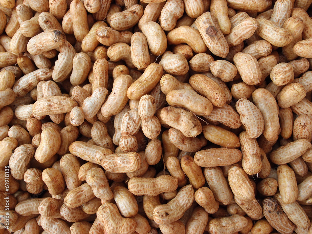 Many peanuts in shells for sale at Farmers Market Many peanuts in shells for sale at Farmers Market