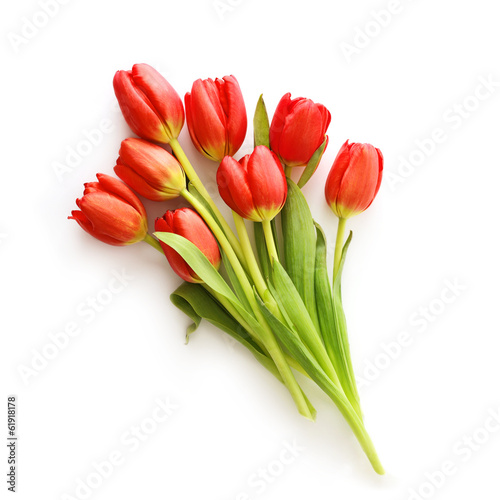 Fototapeta Naklejka Na Ścianę i Meble -  tulip flowers bouquet isolated