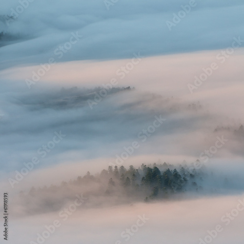mountain landscape with fog and trees