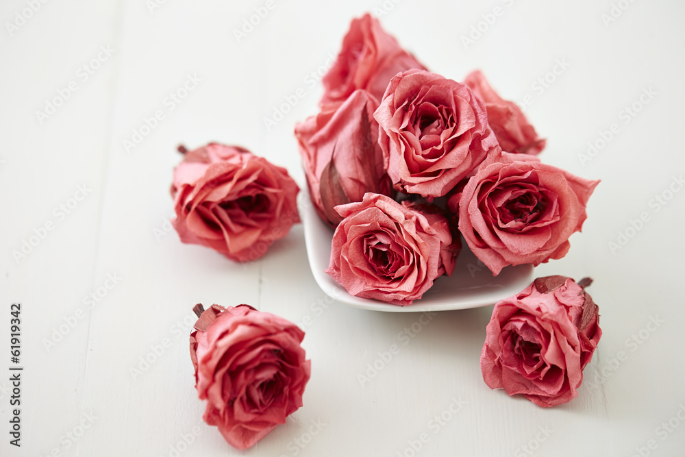Fototapeta premium Pink roses