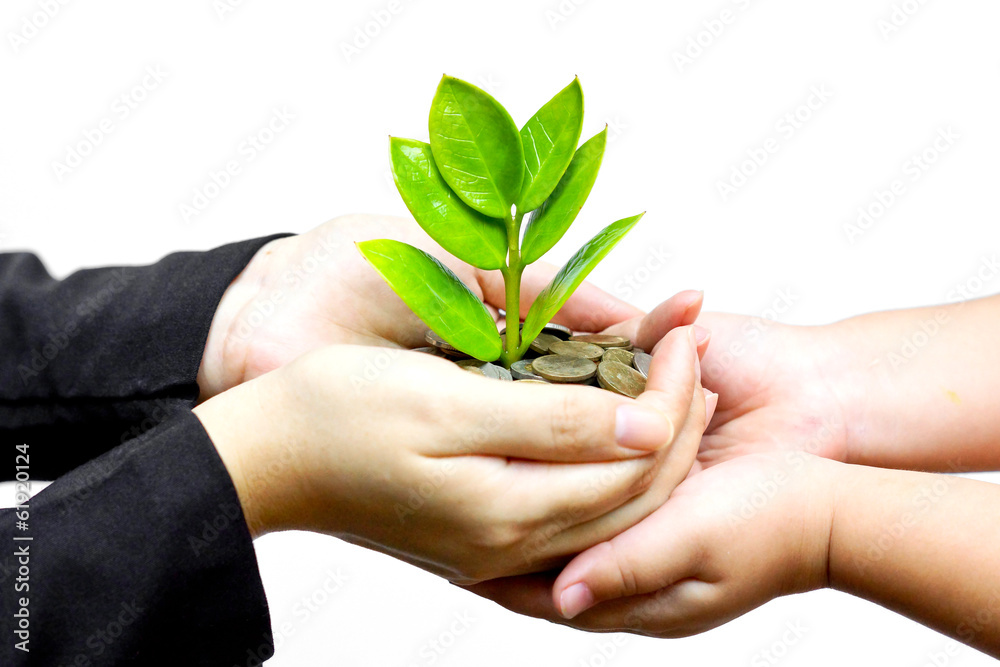 hands holding tress growing on coins with kid's hands / csr hands holding tress growing on coins with kid's hands / csr